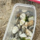 늘푸른하우스 이미지