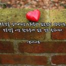 화랑태권도 이미지