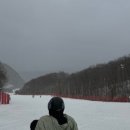 맘스터치 하이원점 이미지