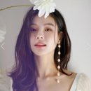 메르시독 이미지