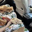 썬브릿지2 이미지