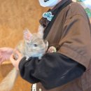 실내놀이터플레이키즈정글