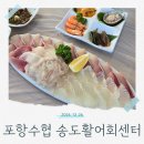 포항 오션뷰 횟집 포항수협 송도활어회센터 방어 과메기 자연산 활어회