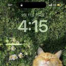 유진농수산 이미지