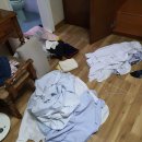 목동세탁 이미지