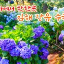 수국정원 이미지
