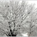 북교초등학교 이미지