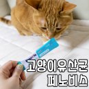 벳전문약국 | 고양이 변비 신장 유산균 페노비스 맛있고 건강한 영양제