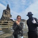 독도블루스 이미지