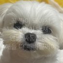 애동유치원 | 10월에쓰는 9월 일상