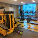 노익스큐즈 이미지