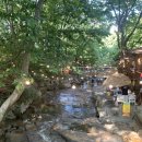 개울가 | 경산 와촌 팔공산 계곡식당 개울가식당 예약방문후기