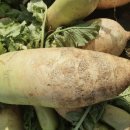 당진시농업기술센터 이미지