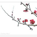 88체육사 이미지
