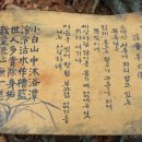 초암골 Daum카페
