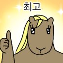 유디티수산 이미지