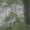 지리산 둘레길 4,5코스(금계~동강~수철) : 운치 있는 우중 트레킹 이미지