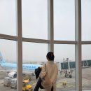 [개포1] (방학특강) 바게트 과일 자동차 샌드위치 | 🇨🇳칭다오 5박6일 겨울여행 1일차(항공권,인천공항발렛,믹스몰,용가훠궈)