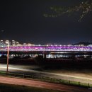 세종우체국 보행교 북측 네이버블로그