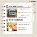 빛나는마실