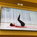 피티노마드
