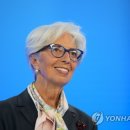 멍멍택시1 이미지