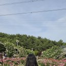 마노드살롱 네이버블로그