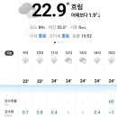오늘도;전 이미지