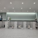 부산애견호텔댕스스쿨 - 사하구 장림시장5길 175 | 부산애견호텔댕스스쿨