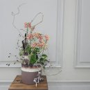 다래디자인 이미지