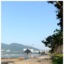 파도소리 이미지