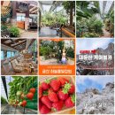 1월 24일(토요일) 대둔산딸기농장 &amp; 하늘물빛정원 트레킹 (마감합니다) 이미지