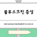 천안컴퓨터수리 블루스크린 푸는게 되네요