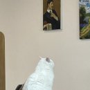 천안불당나의첫취미미술성인미술학원
