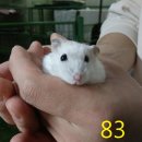 성말로 이미지