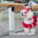 4u동물메디컬센타 이미지