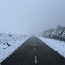D-24 | [여자혼자 산티아고 순례길 D+24] 재난영화 주인공, 폰페라다 사우나 후기 26.7km #28