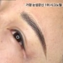 시그노엘 이미지