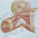 팀터틀랫 마산양덕점 이미지