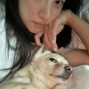 행복한두부 이미지