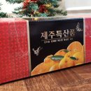 노지컴퍼니