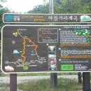 ★인제 진동리&amp; 방태산 아침가리 트레킹 다녀온 양양아지매★