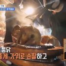 1080치킨식당 이미지