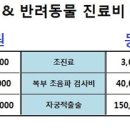 데일리 동물병원 이미지
