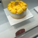 밸런티 - 중구 퇴계로 77 | [잠실 케이크 맛집] 밸런티(BALANTY) 망고 케이크 내돈내산 재구매 후기 🍰✨
