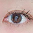 안경나라사창점 위드렌즈 이미지