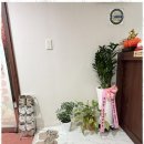 중국정통마사지 이미지