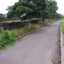 제주토생금공인중개사사무소 이미지