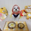 댕고밥상 이미지