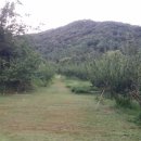 역귀농장 이미지